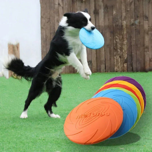 Dog Training Frisbee
