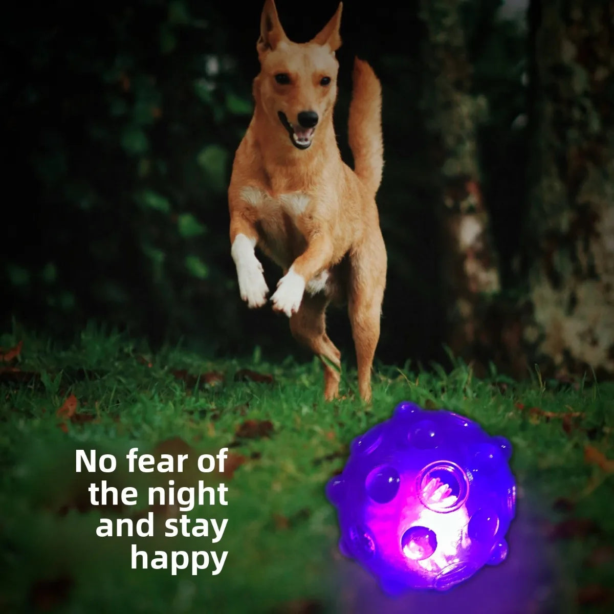 Flashing Sound Ball for Puppies
