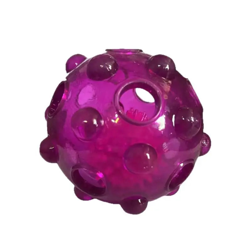 Flashing Sound Ball for Puppies