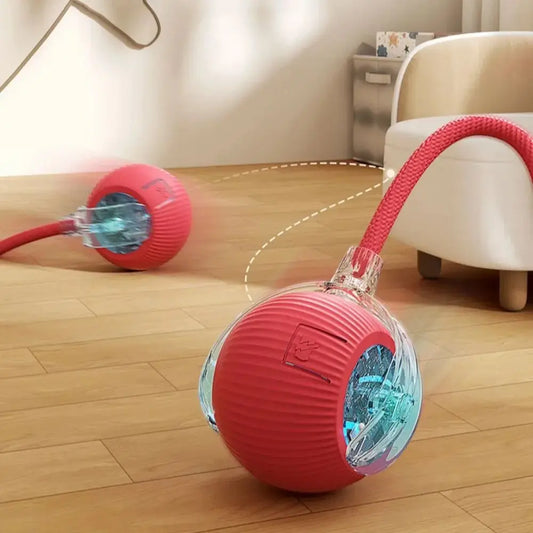 Jouet interactif pour chat