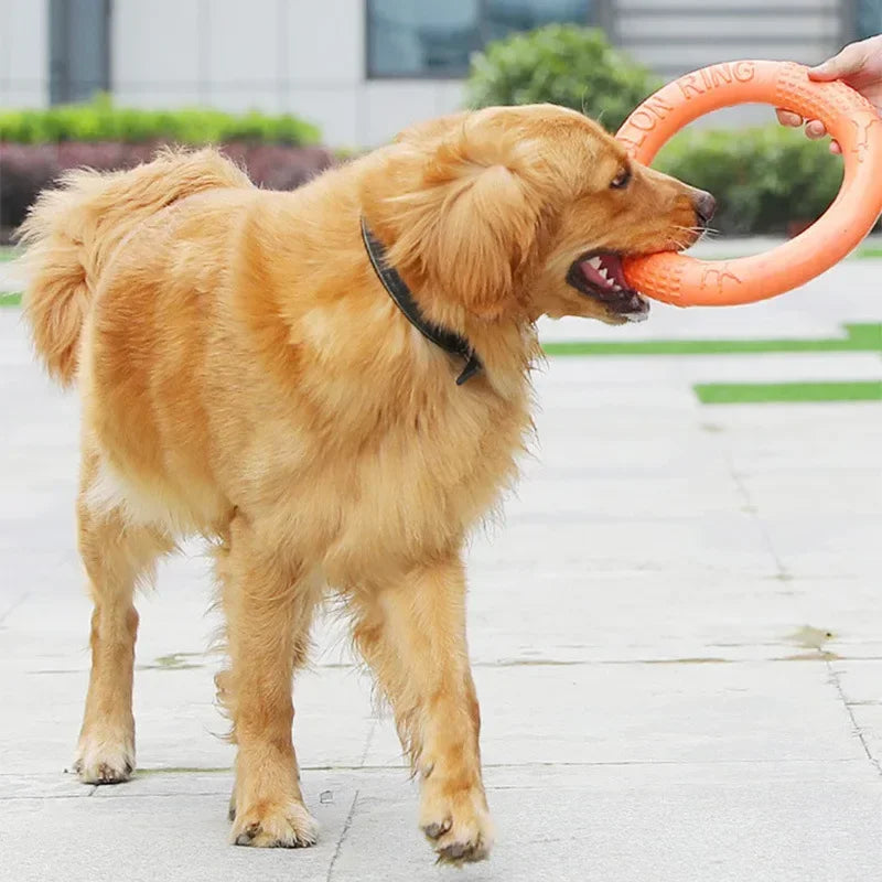Training Ring Toy for Dogs