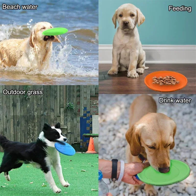 Dog Training Frisbee