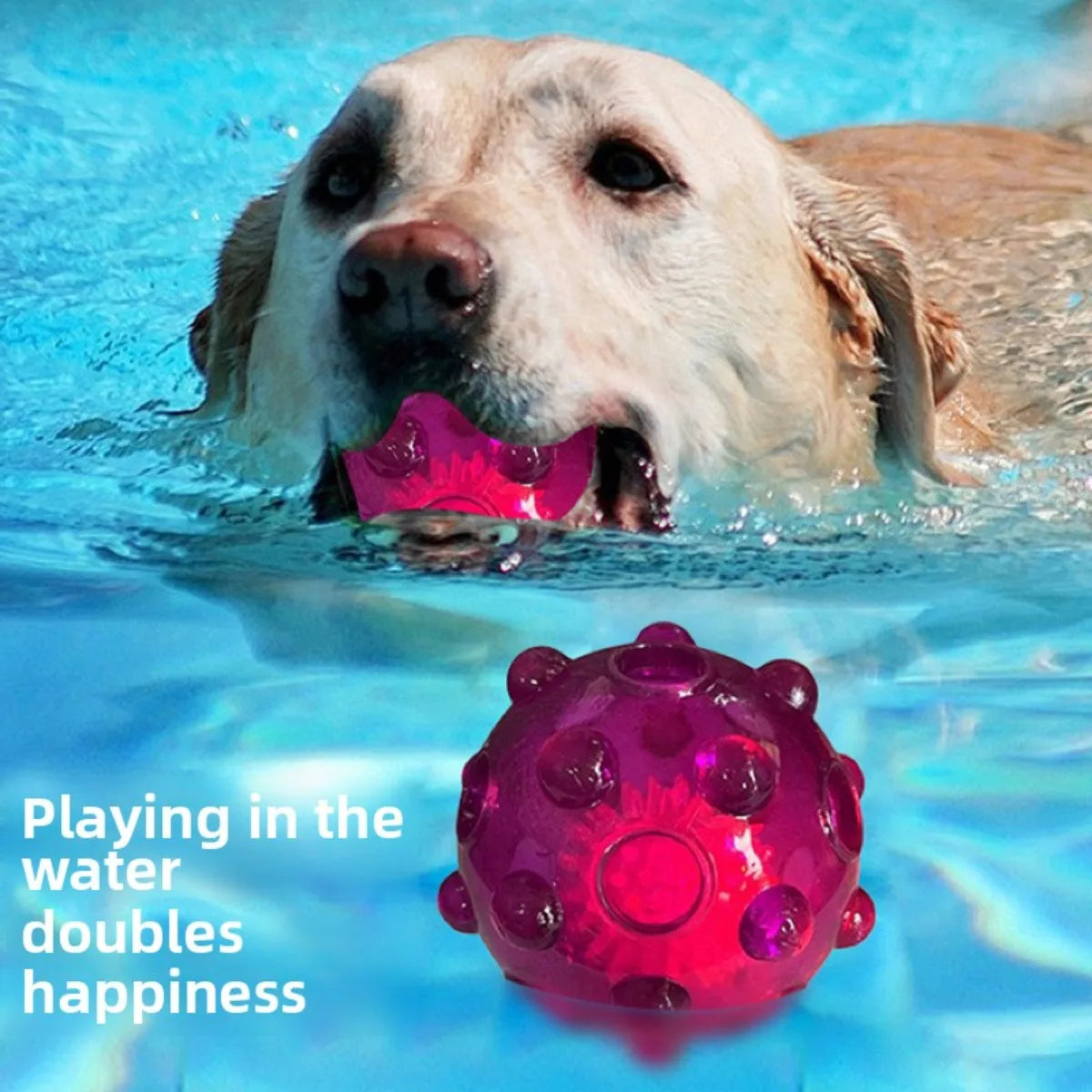 Flashing Sound Ball for Puppies