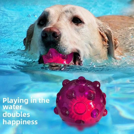 Flashing Sound Ball for Puppies