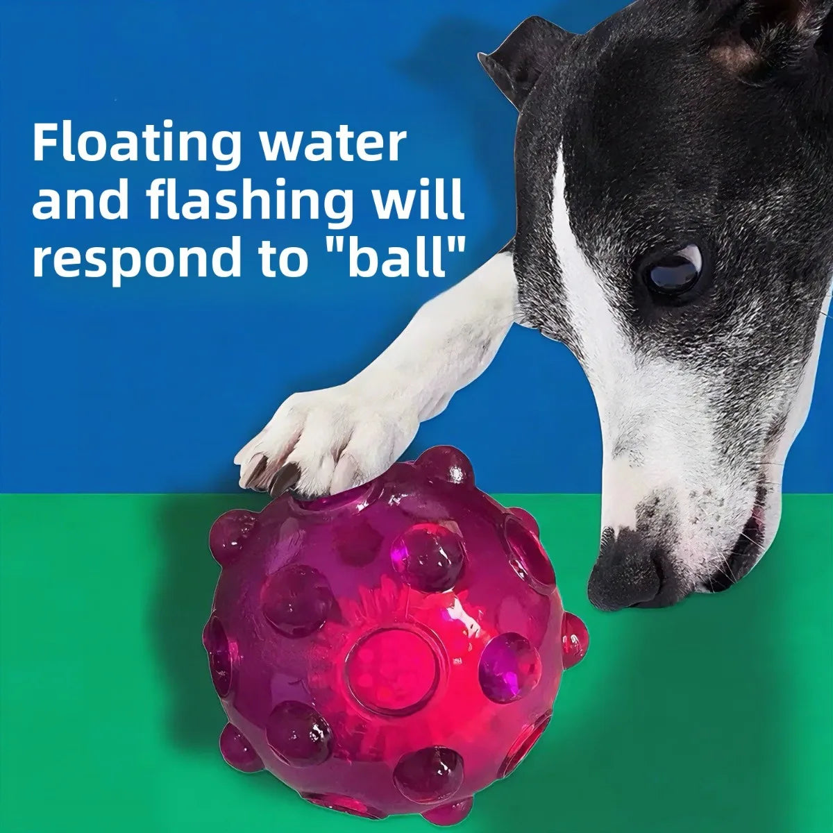 Flashing Sound Ball for Puppies