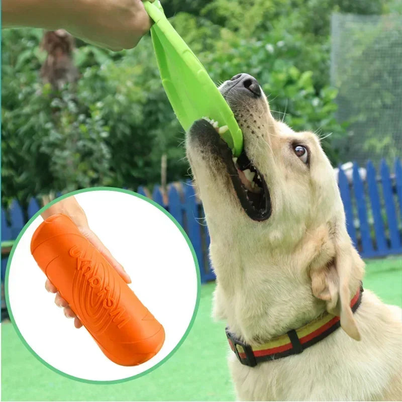 Dog Training Frisbee