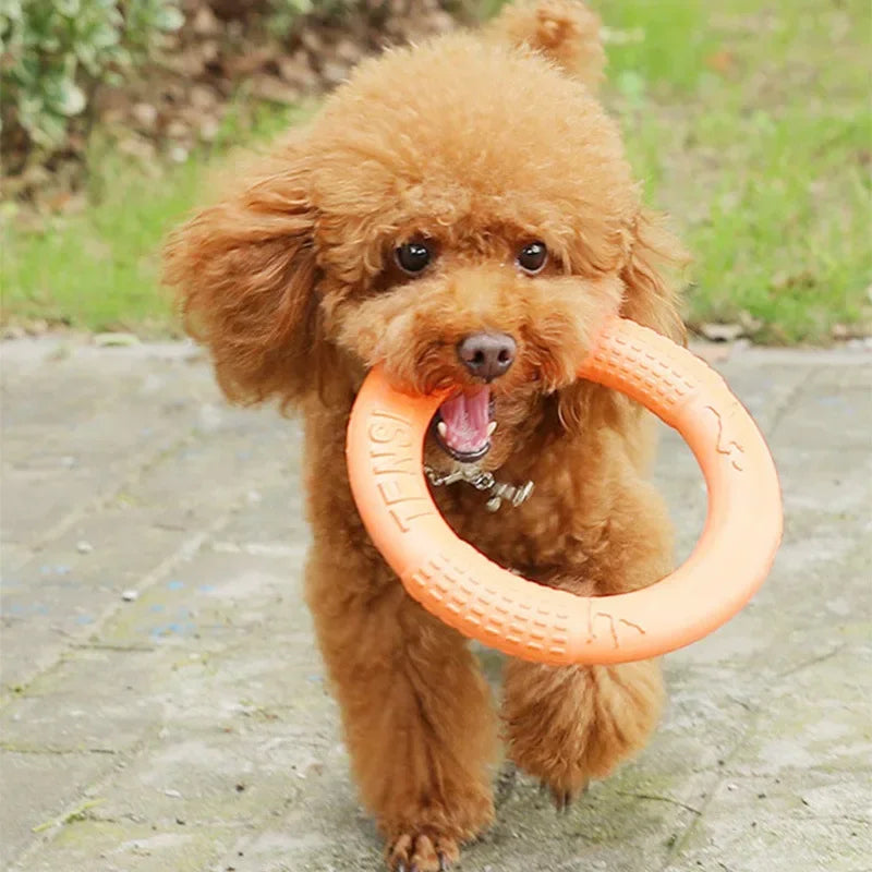 Training Ring Toy for Dogs