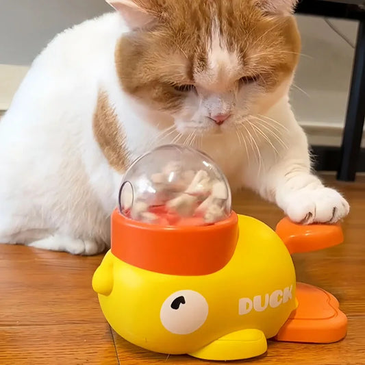 Distributeur de nourriture pour chien et chat