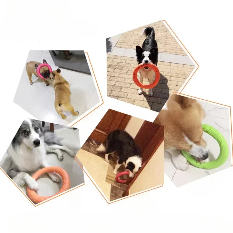 Training Ring Toy for Dogs