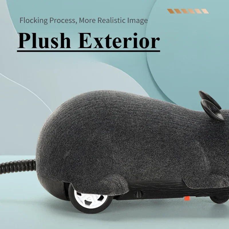 Remote-controlled Electric Mouse