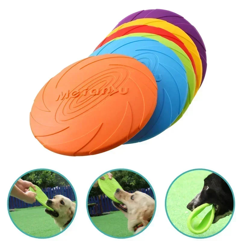 Dog Training Frisbee